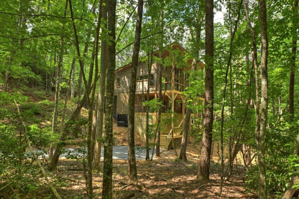 328 Crabapple Drive Blue Ridge, GA 30513 - Photo 62 of 64