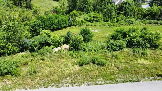 a view of a lush green forest with houses