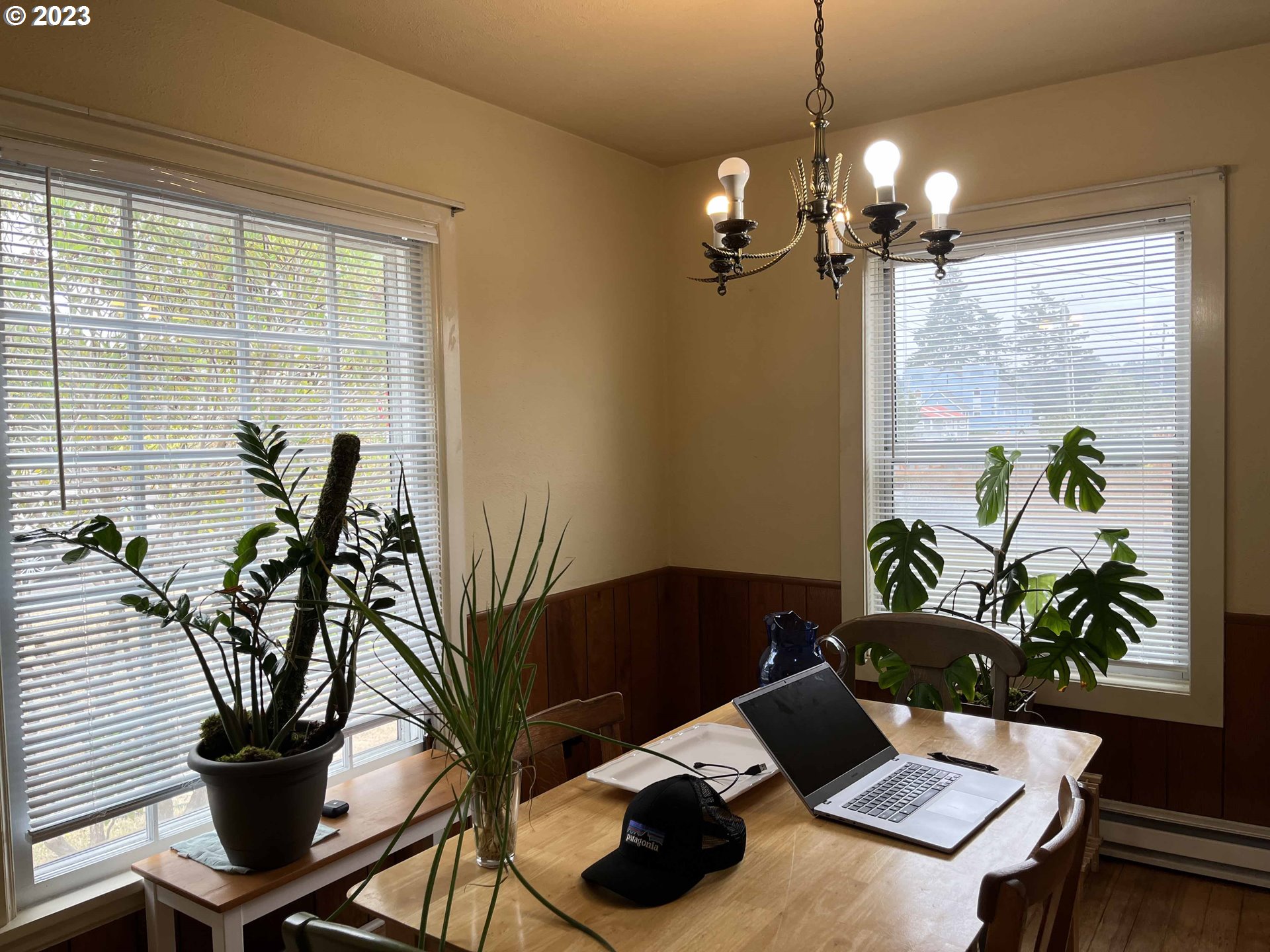 611 Laurel Street Florence, OR 97439 - Photo 13 of 32 a living room with furniture and a potted plant