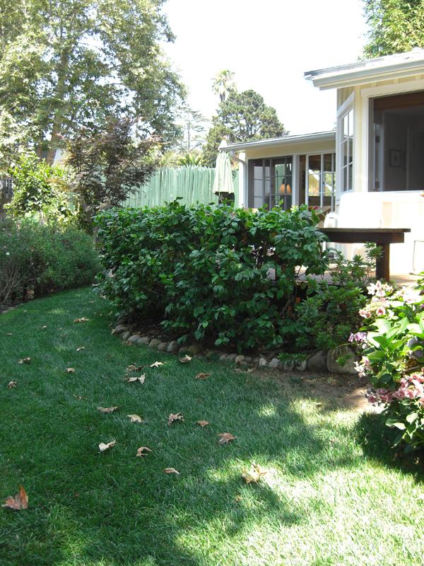 49 Humphrey Road Santa Barbara, CA 93108 - Photo 16 of 17 a view of backyard of house with green space