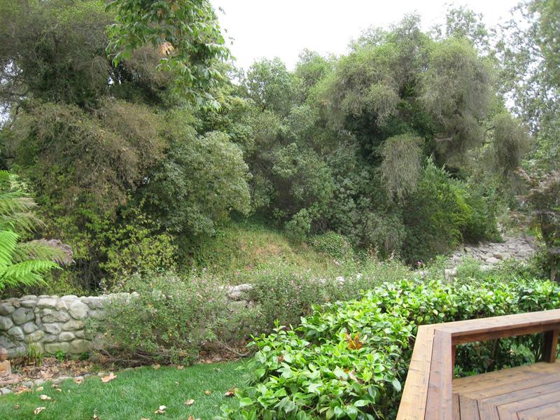 49 Humphrey Road Santa Barbara, CA 93108 - Photo 17 of 17 a view of a yard with a wooden fence