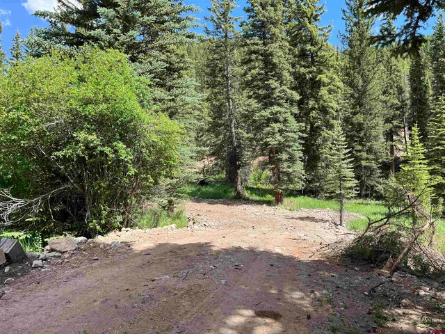 $500,000 | Tbd 11th Street, Pitkin, CO 81241