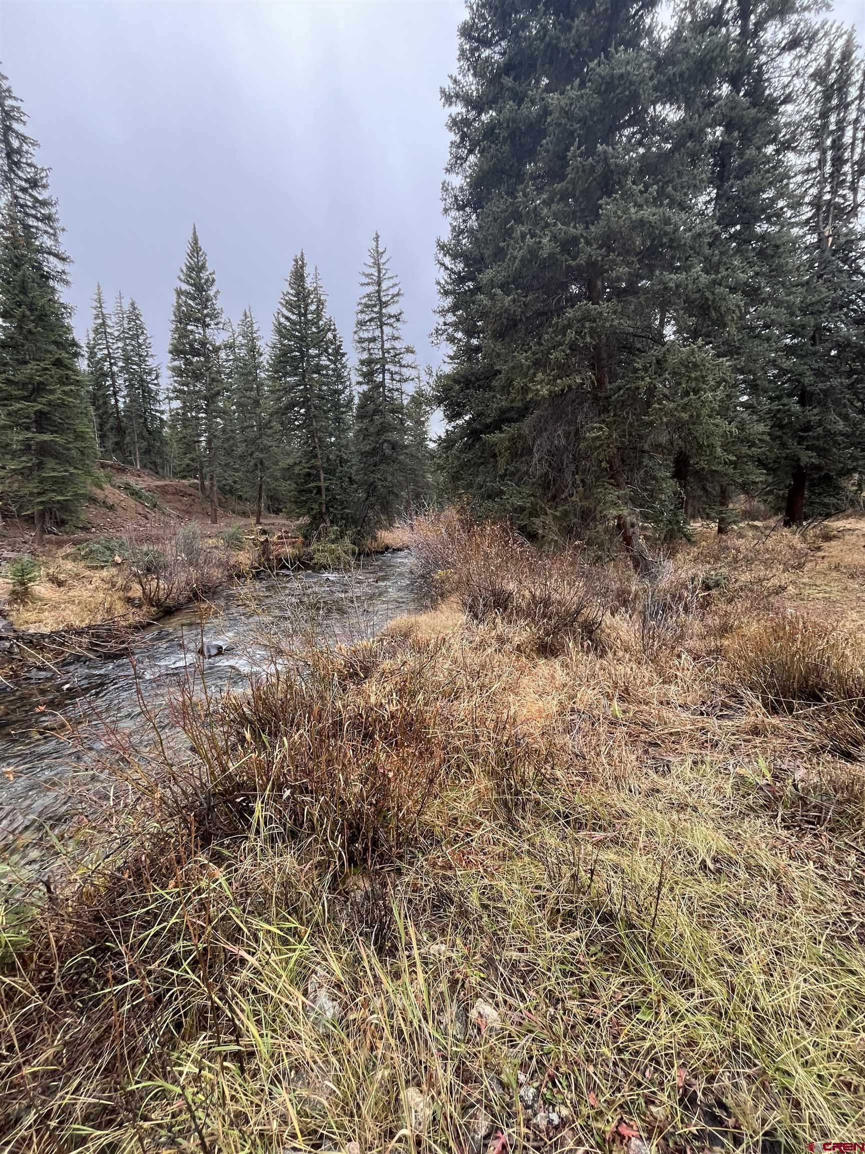 Tbd 11th Street Pitkin, CO 81241 - Photo 12 of 14