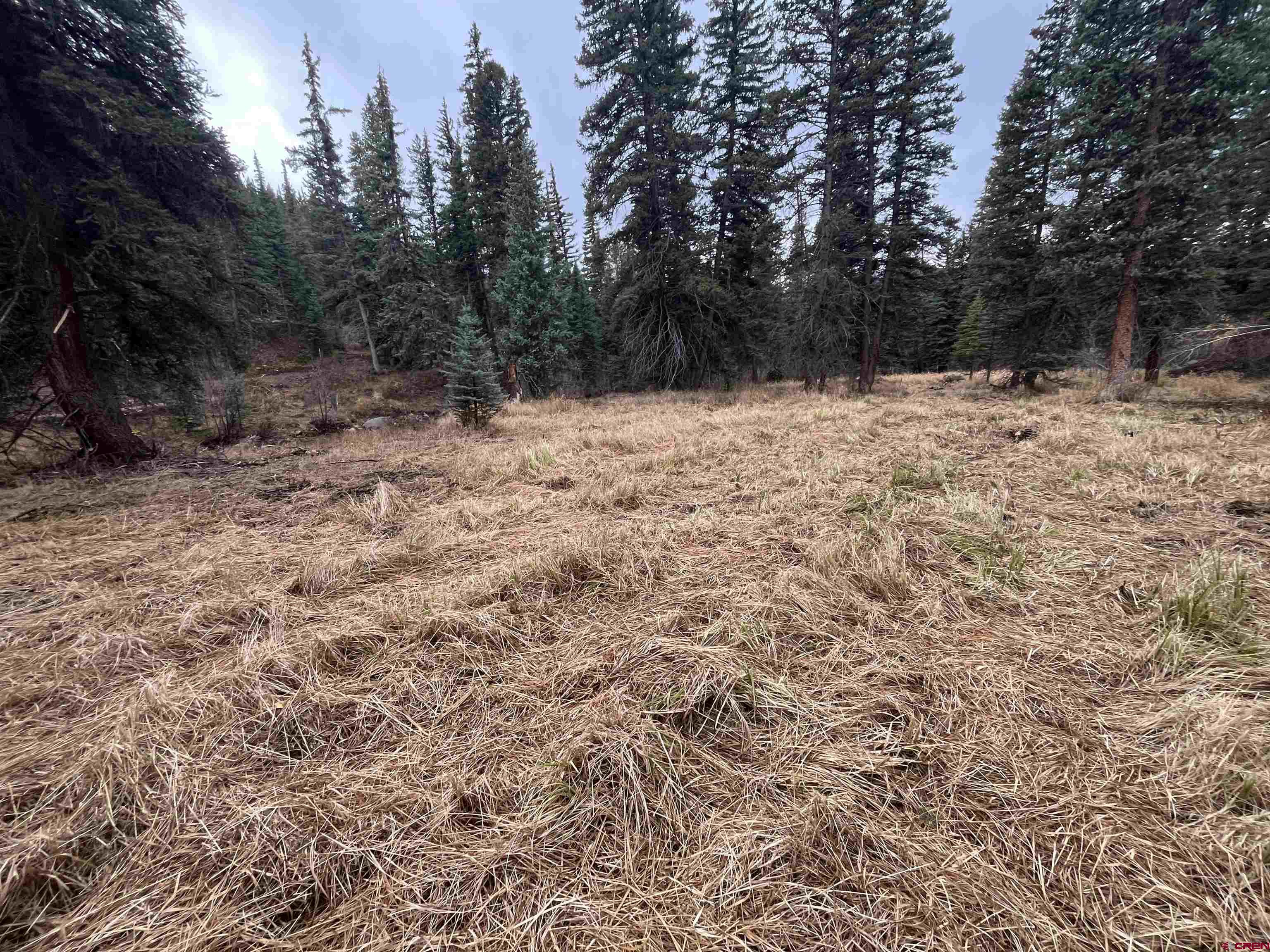 Tbd 11th Street Pitkin, CO 81241 - Photo 13 of 14