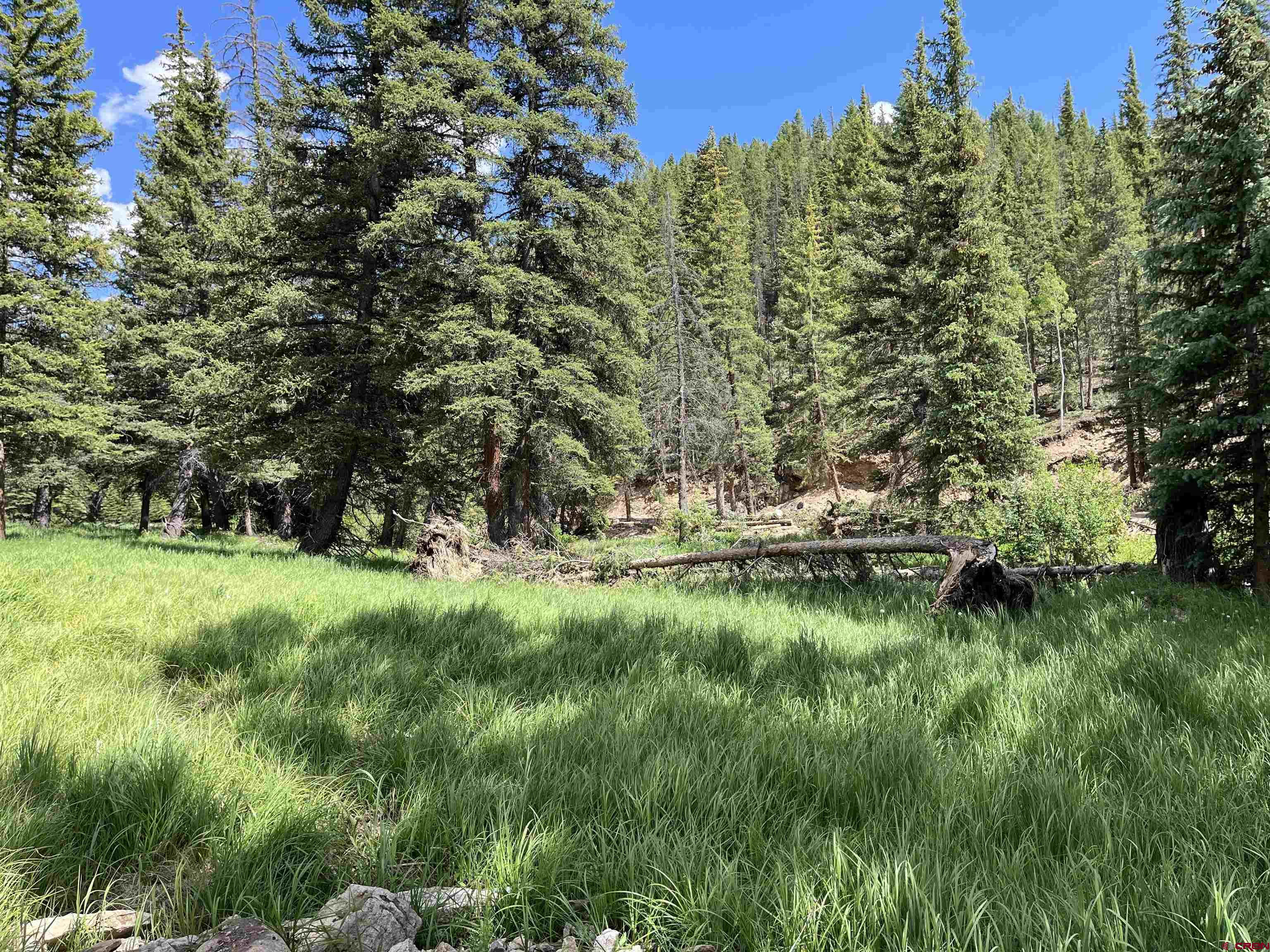 Tbd 11th Street Pitkin, CO 81241 - Photo 5 of 14