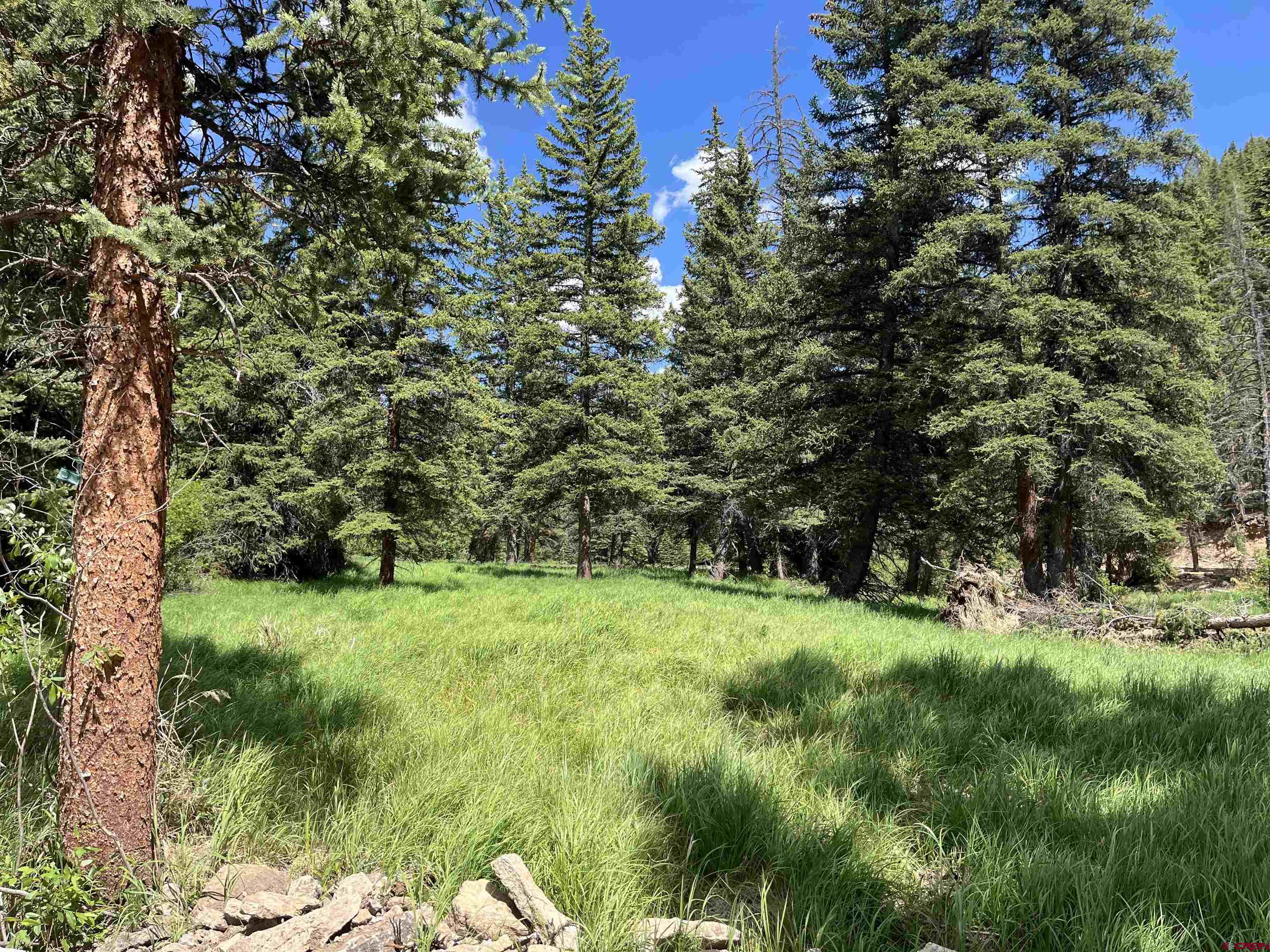 Tbd 11th Street Pitkin, CO 81241 - Photo 8 of 14