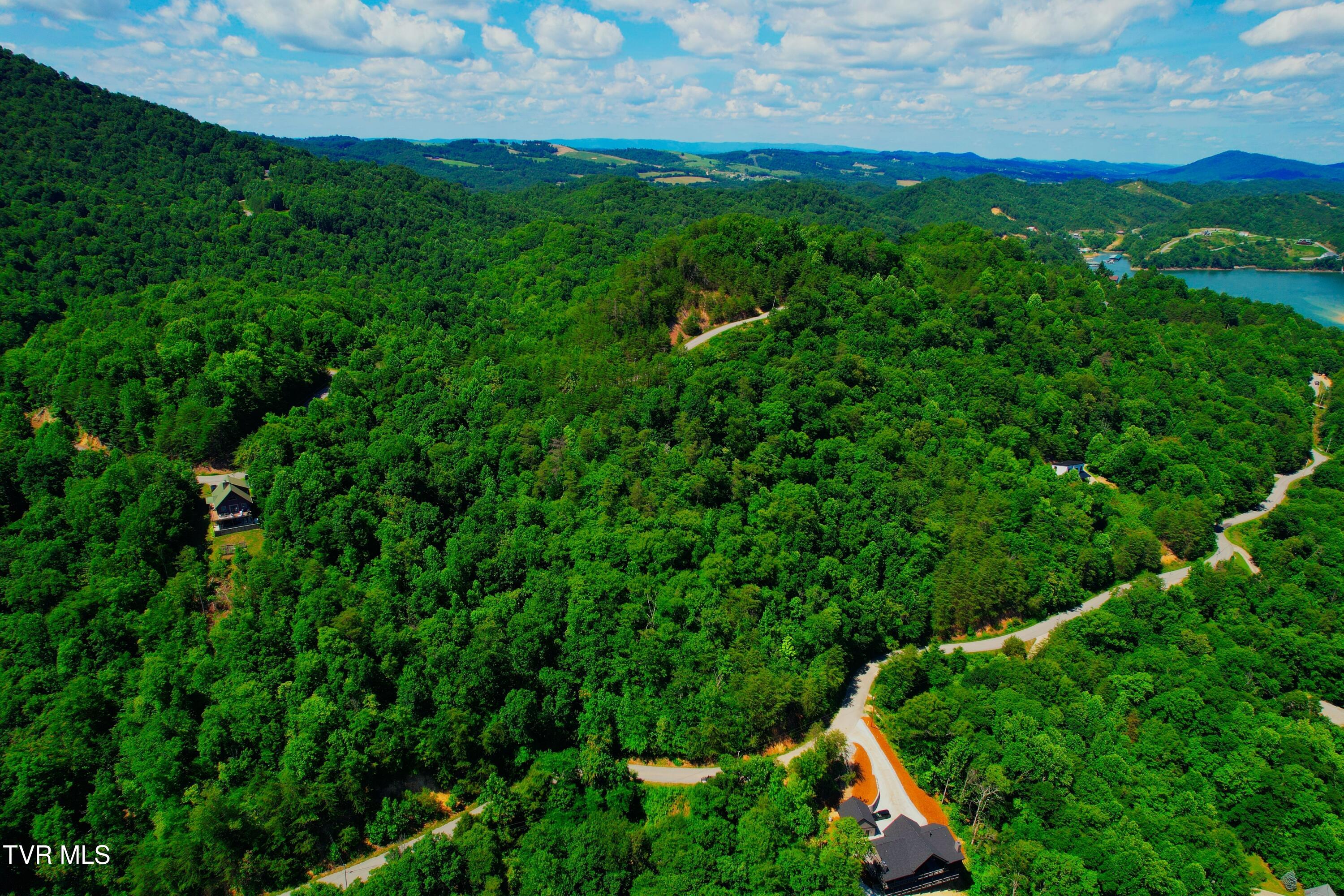 Lot 69 Ridgecrest Road New Tazewell, TN 37825 - Photo 10 of 36 Photo (14) (1)
