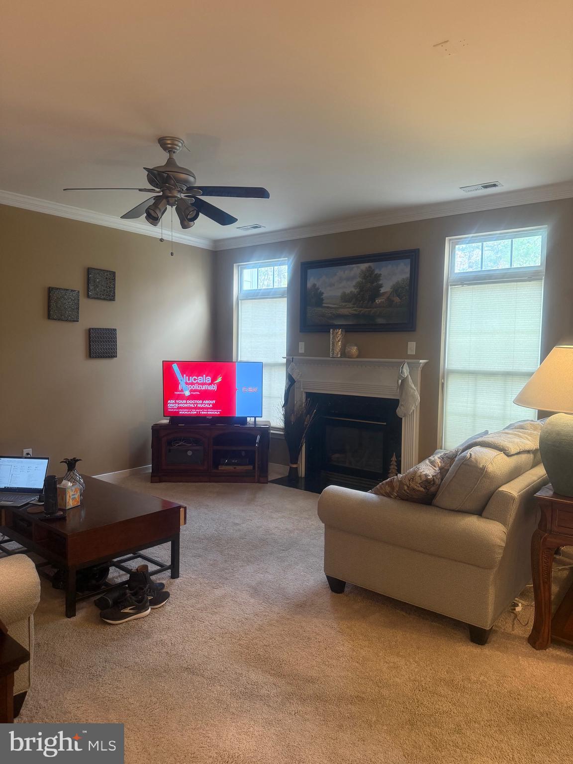 10715 Blackthorn Lane Henrico, VA 23233 - Photo 14 of 16 a living room with furniture and a fireplace