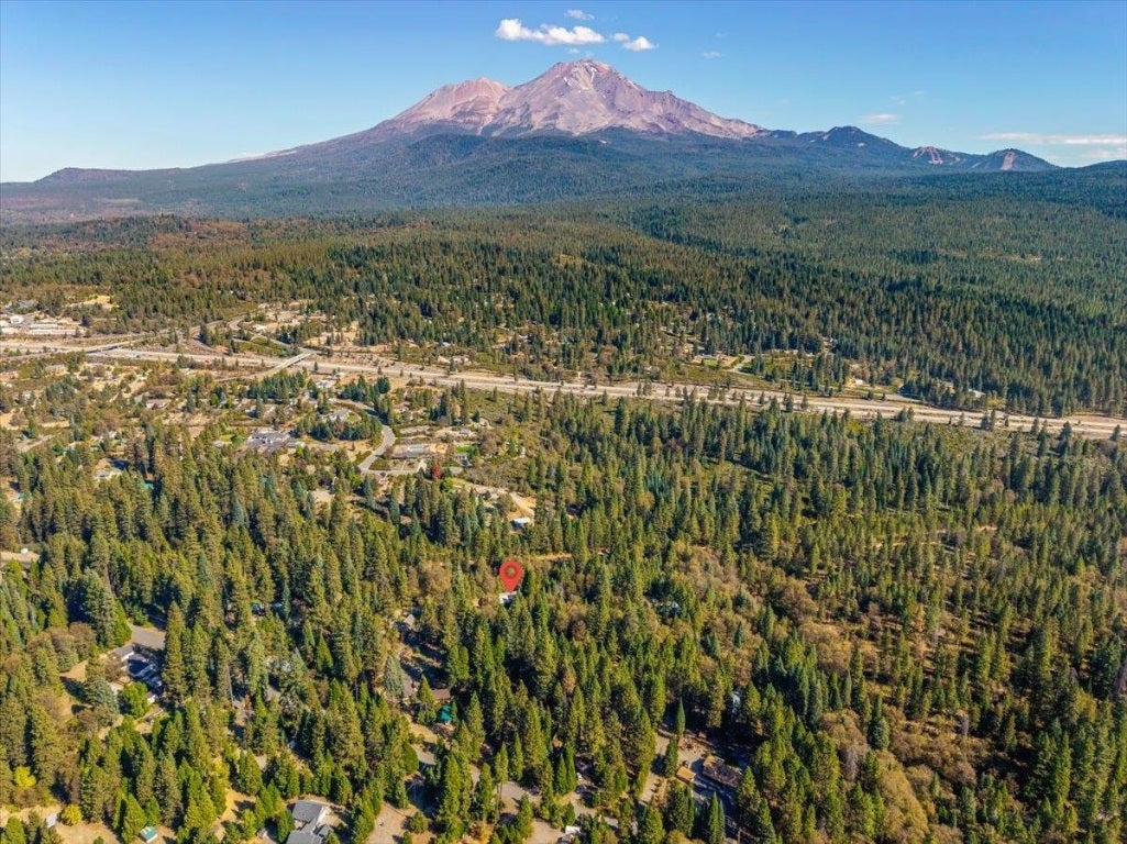 2730 South Old Stage Road Mount Shasta, CA 96067 - Photo 6 of 33 Gallery Image 6