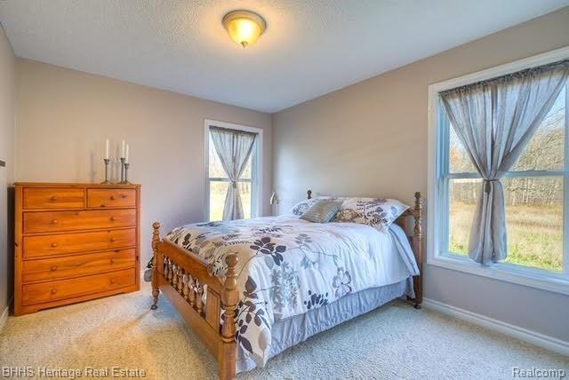 8905 North Gregory Road Fowlerville, MI 48836 - Photo 11 of 22 N. Gregory 12