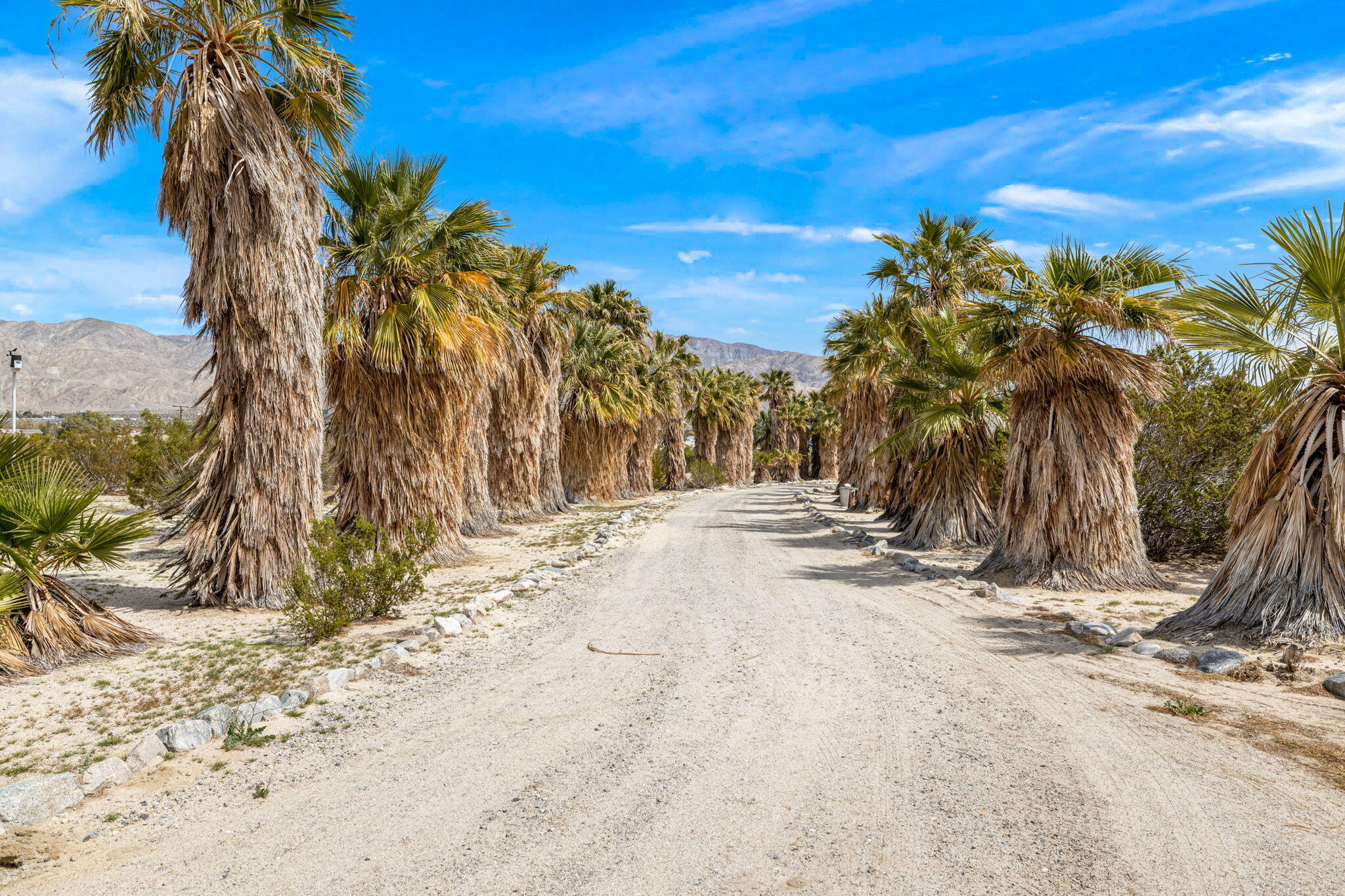 23405 Henry Road Desert Hot Springs, CA 92241 - Photo 46 of 66 71-web-or-mls-2Z7A2425
