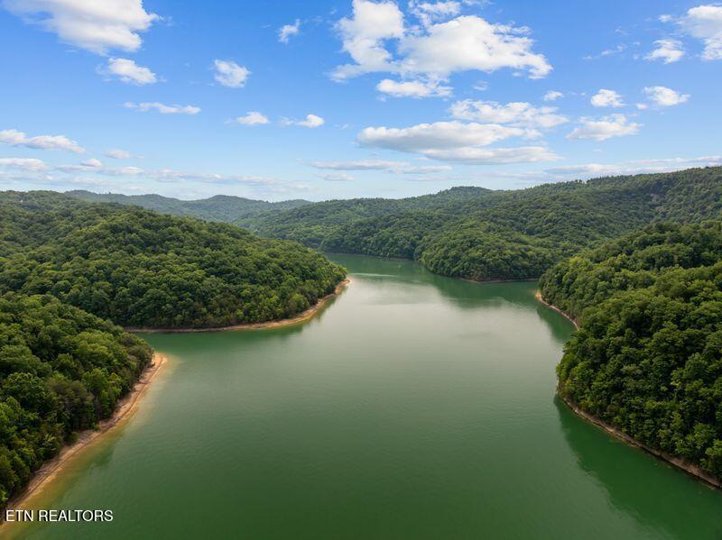 976 Livingston Boatdock Road Allons, TN 38541 - Photo 16 of 21 gedwill use 23