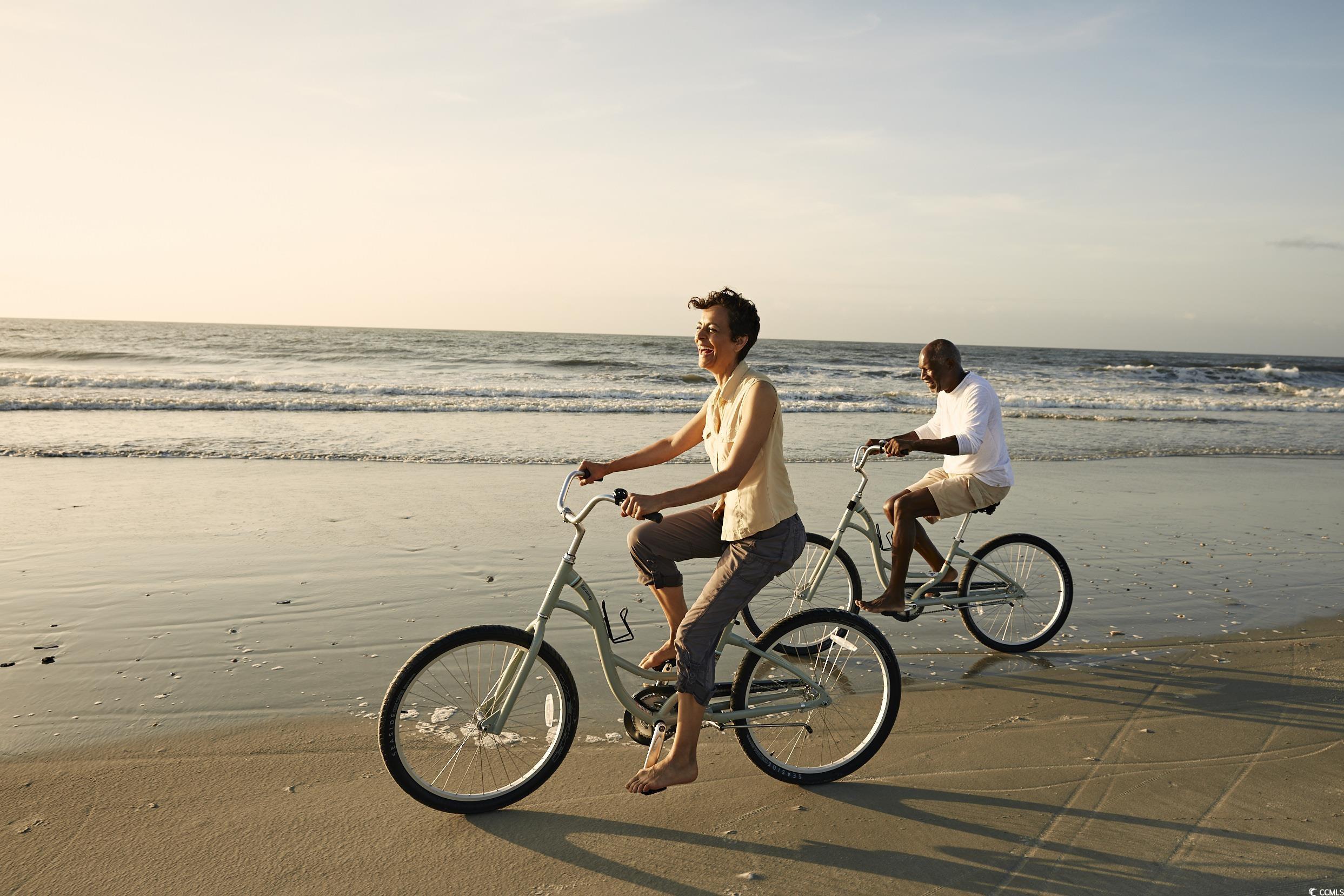 246 Warner Xing Way Loris, SC 29569 - Photo 16 of 20