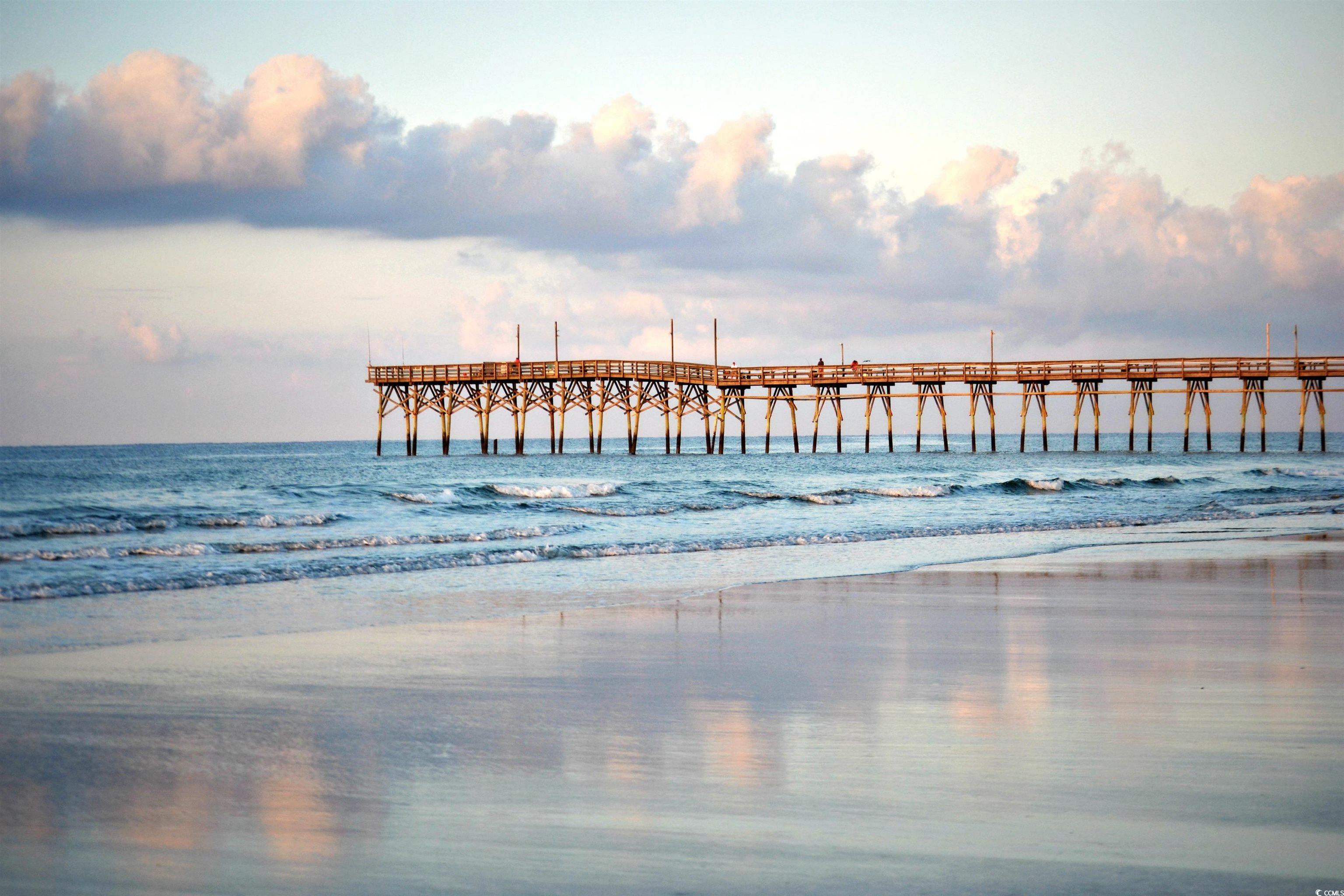 246 Warner Xing Way Loris, SC 29569 - Photo 20 of 20 View of water feature with a beach view
