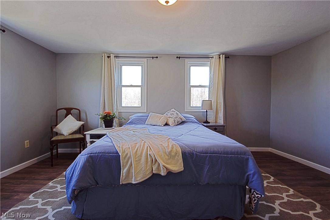 7670 Dewey Road Thompson, OH 44086 - Photo 11 of 34 Master bedroom is large enough for any size bed & multiple dressers.