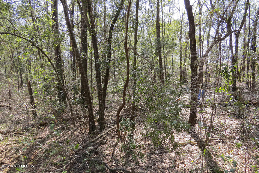4267 Chokeberry Road Middleburg, FL 32068 - Photo 36 of 38 Treed Lot