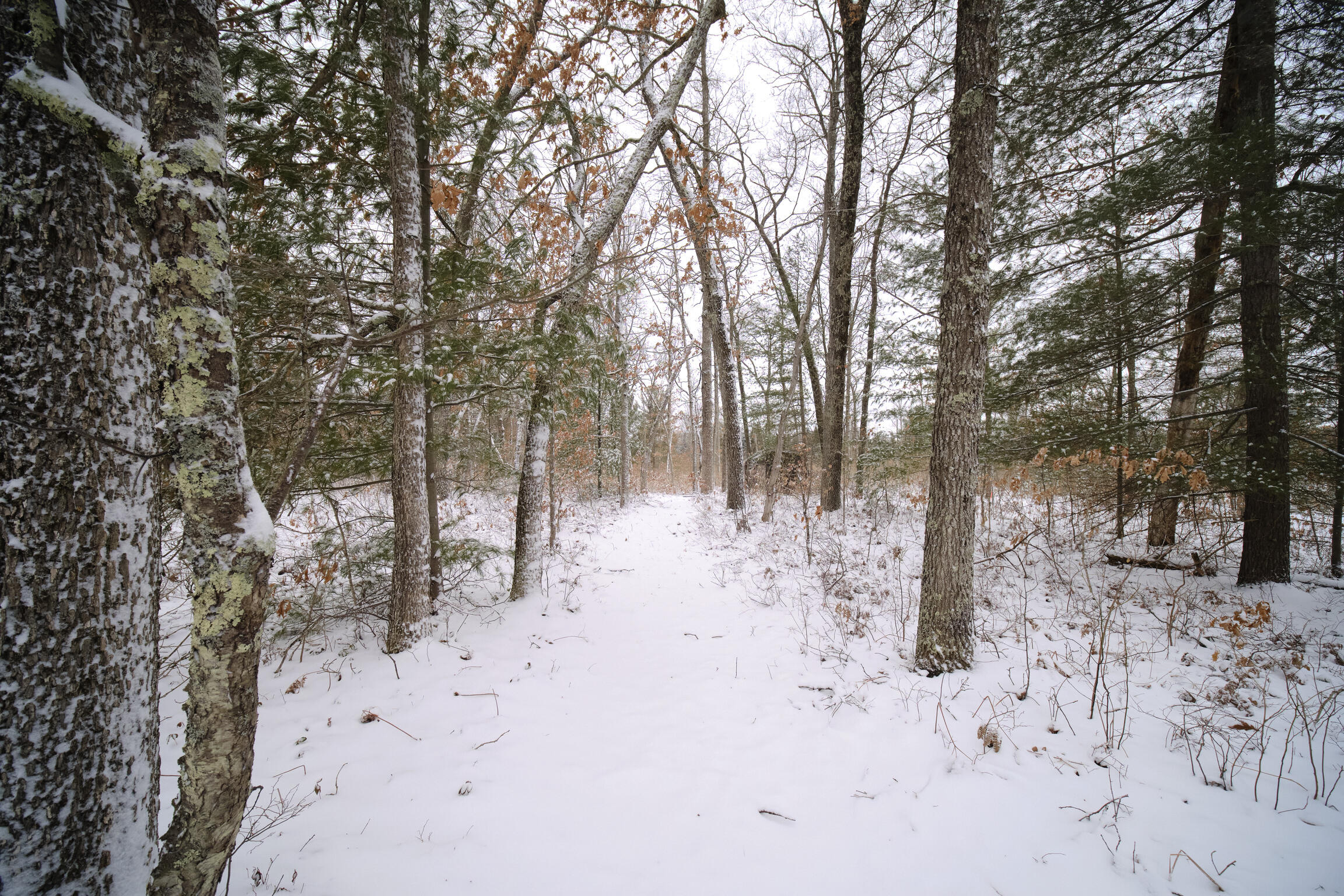 10775 Pine Creek Road Manistee, MI 49660 - Photo 7 of 74 10775_Pine_Creek_Rd-61