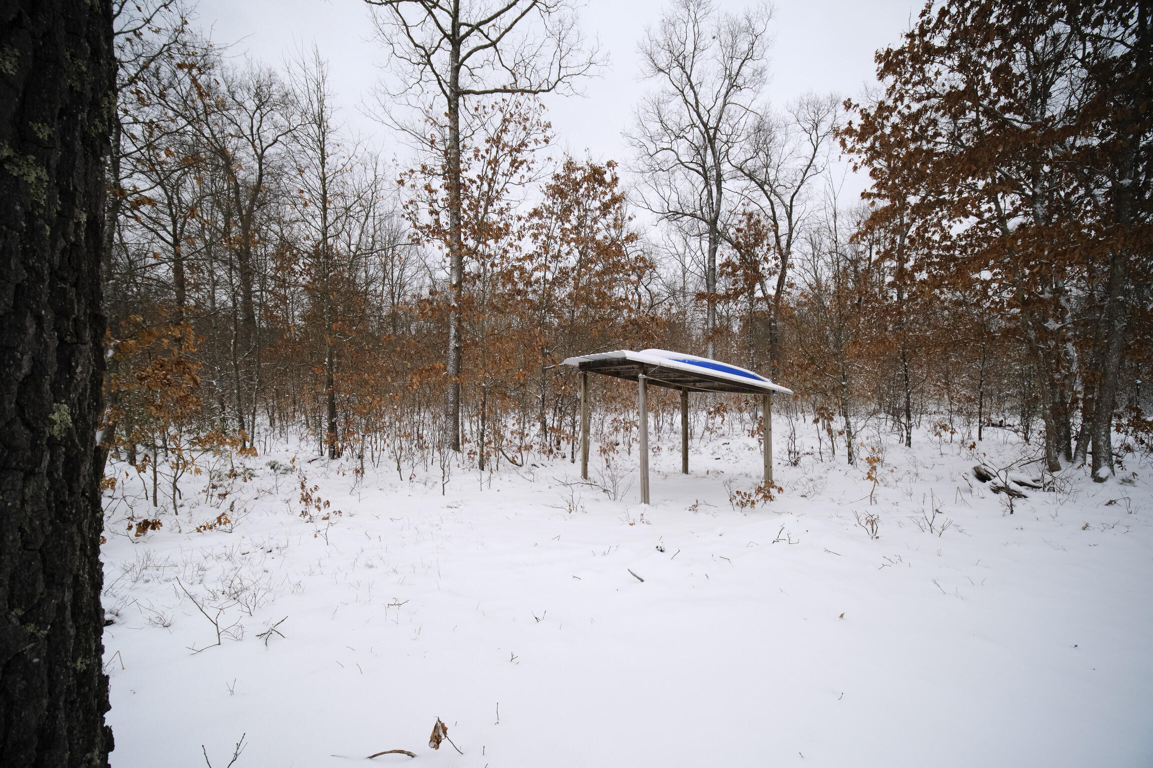 10775 Pine Creek Road Manistee, MI 49660 - Photo 72 of 74 10775_Pine_Creek_Rd-57