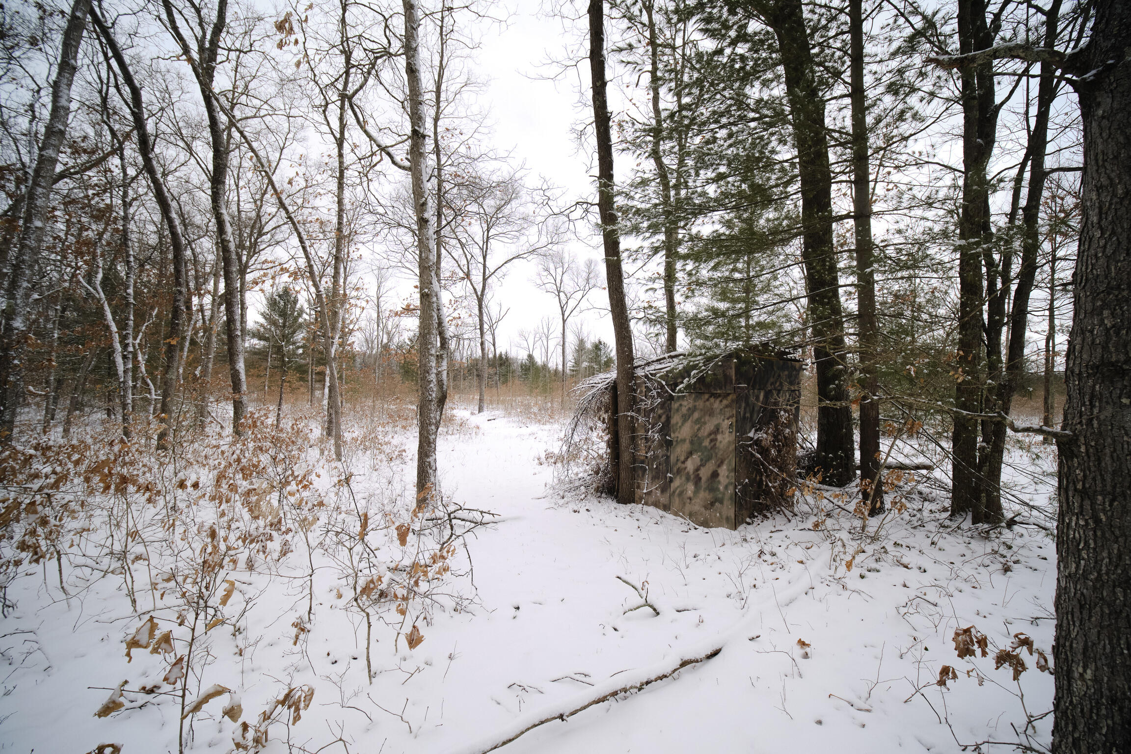 10775 Pine Creek Road Manistee, MI 49660 - Photo 73 of 74 10775_Pine_Creek_Rd-62