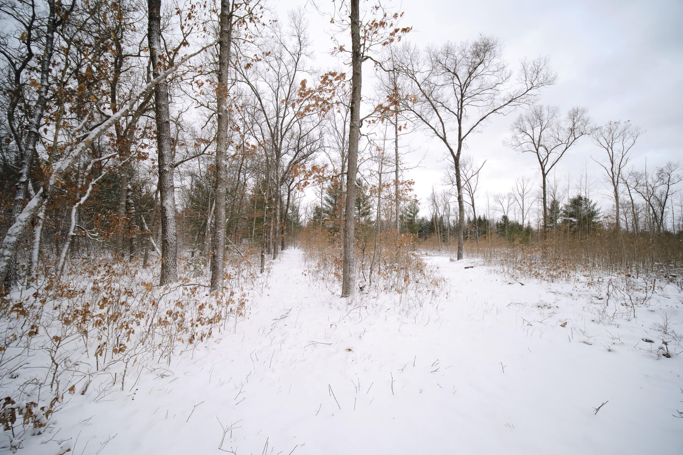 10775 Pine Creek Road Manistee, MI 49660 - Photo 74 of 74 10775_Pine_Creek_Rd-63