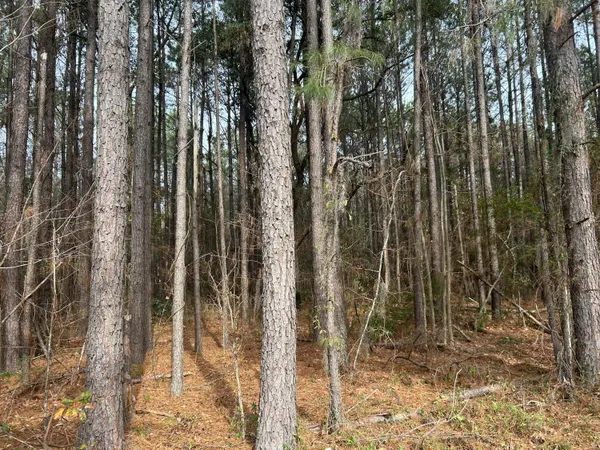 $149,000 | 1465 Jakes Road, Turbeville, SC 29162