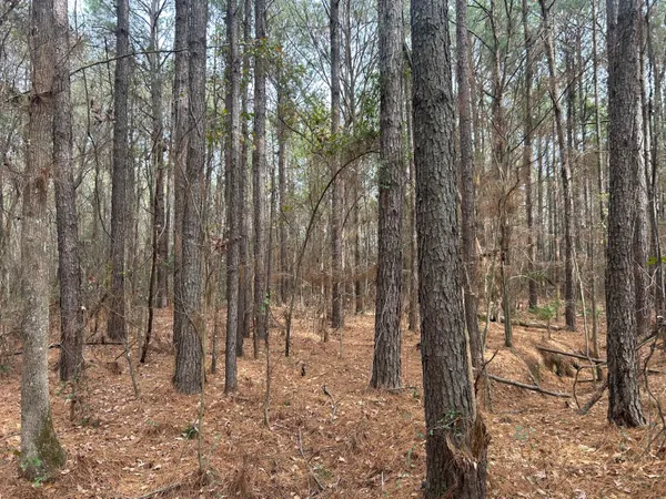 $149,000 | 1465 Jakes Road, Turbeville, SC 29162