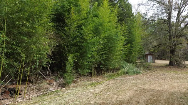 $175,000 | 1465 Jakes Road, Turbeville, SC 29162