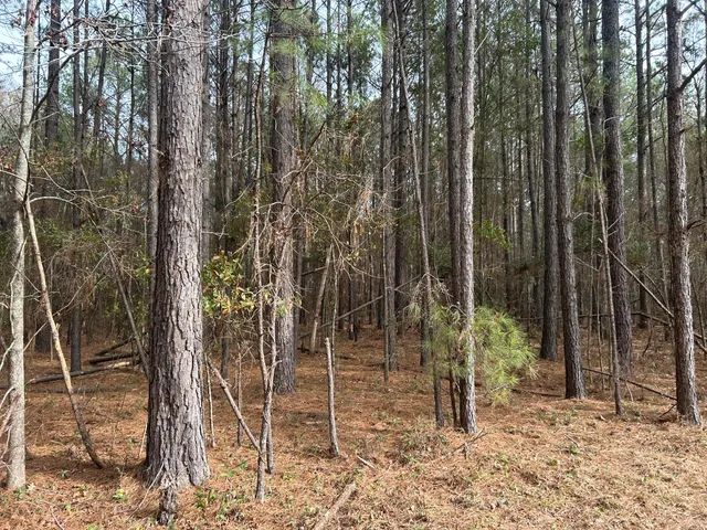 $175,000 | 1465 Jakes Road, Turbeville, SC 29162