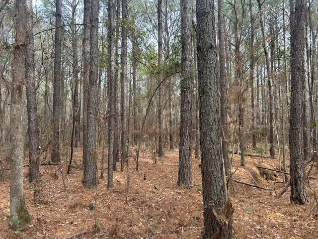 $175,000 | 1465 Jakes Road, Turbeville, SC 29162