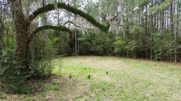 $149,000 | 1465 Jakes Road, Turbeville, SC 29162