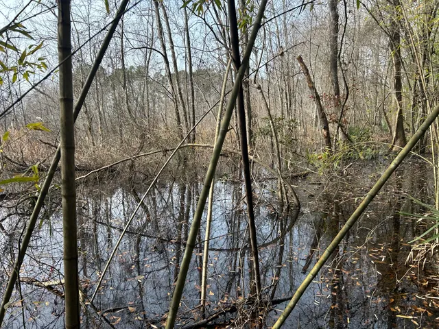 $175,000 | 1465 Jakes Road, Turbeville, SC 29162