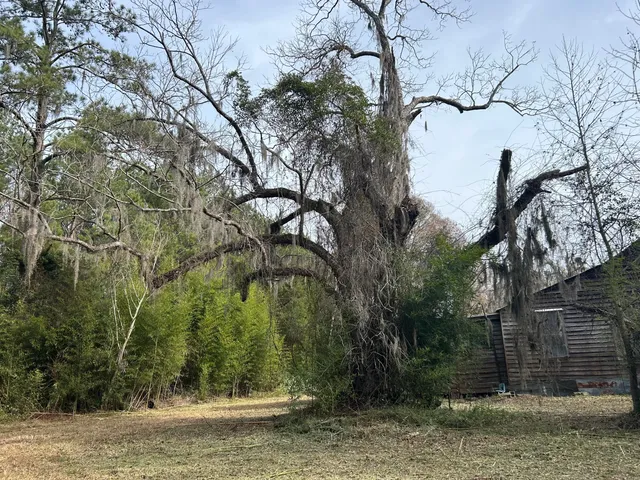 $175,000 | 1465 Jakes Road, Turbeville, SC 29162