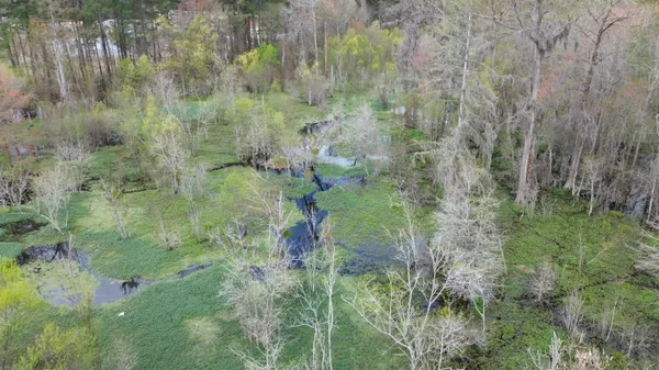 $149,000 | 1465 Jakes Road, Turbeville, SC 29162