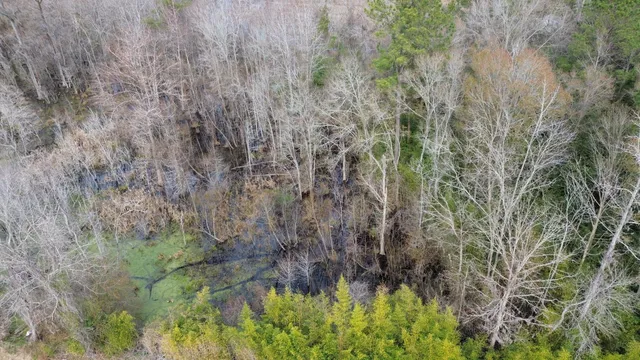 $175,000 | 1465 Jakes Road, Turbeville, SC 29162