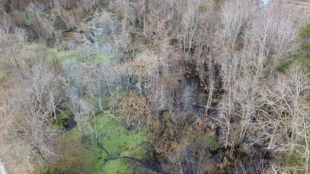 $175,000 | 1465 Jakes Road, Turbeville, SC 29162