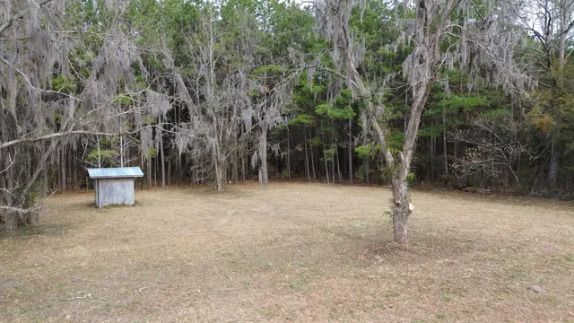 $175,000 | 1465 Jakes Road, Turbeville, SC 29162