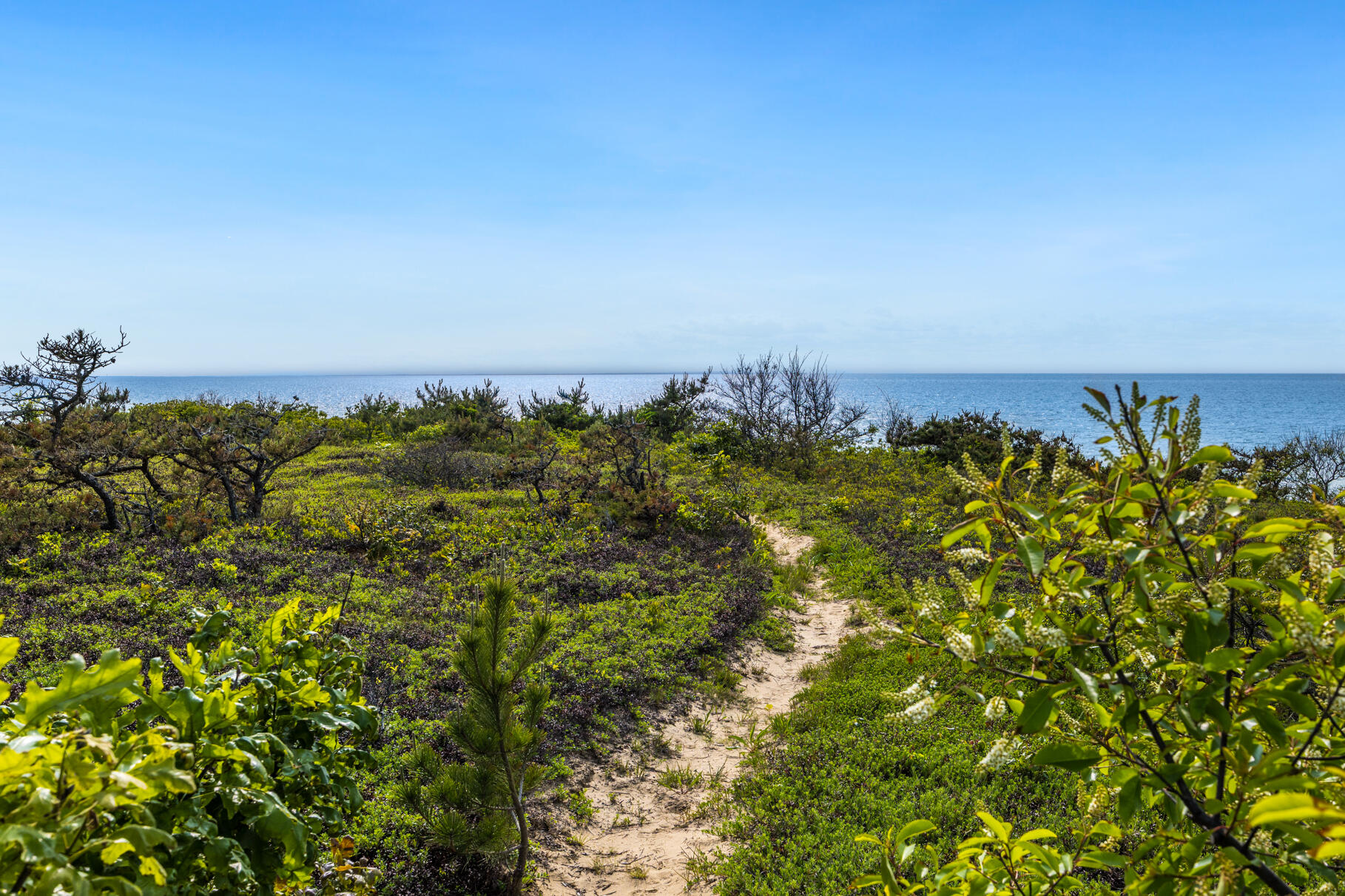 1400 Chequessett Neck Road Wellfleet, MA 02667 - Photo 44 of 68 9L4A1421