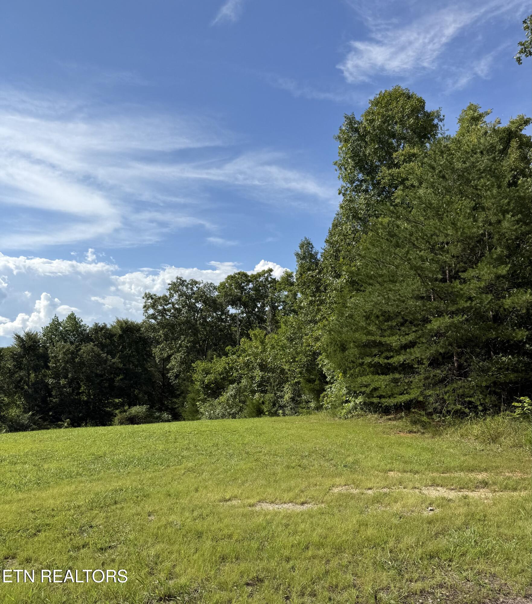 129 Stone Ridge Road Tellico Plains, TN 37385 - Photo 28 of 33 IMG_2840