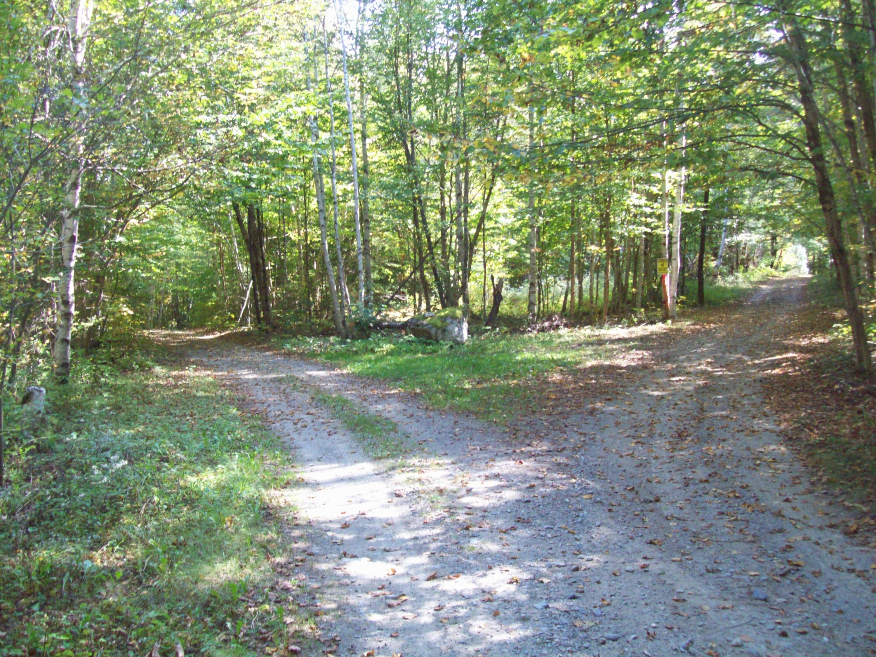 Tbd Tbd Chase Road Springfield, ME 04487 - Photo 7 of 11 100_3937
