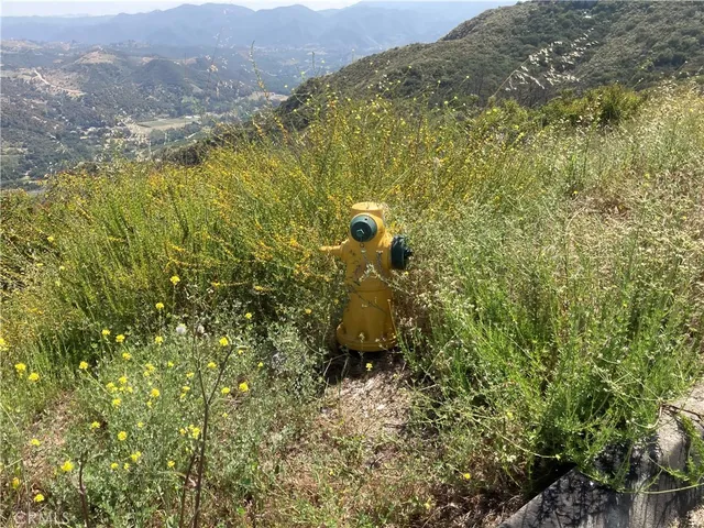 a view of a yard and mountain in the background