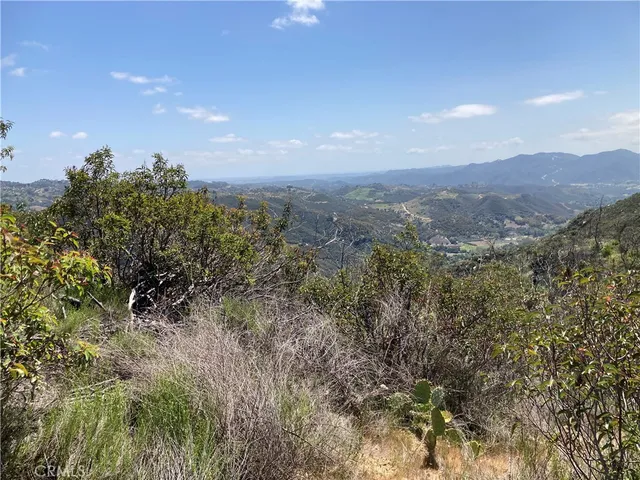 a view of a bunch of trees and bushes