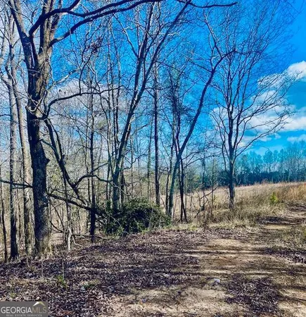 a view of yard with trees