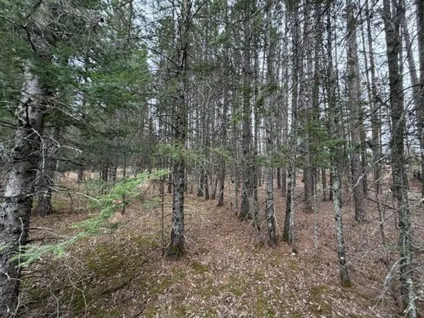 $48,000 | Tbd 5-th Tbd 5-th Tbd 5th Street Southeast, Ely, MN 55731