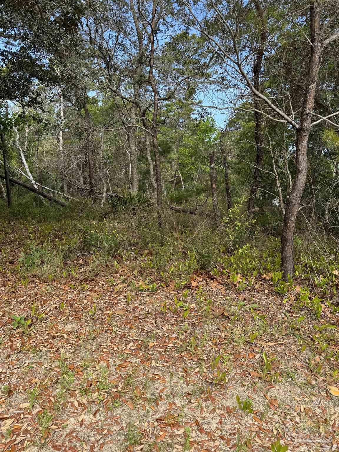 Country Club Road Gulf Breeze, FL 32563 - Photo 1 of 2 Gallery Image 1