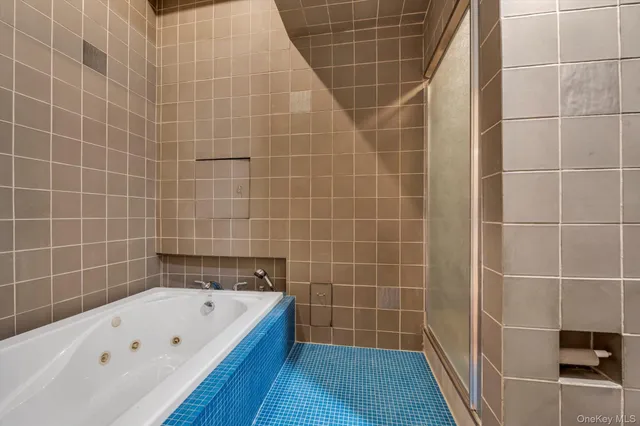 a bathroom with a bathtub and a shower