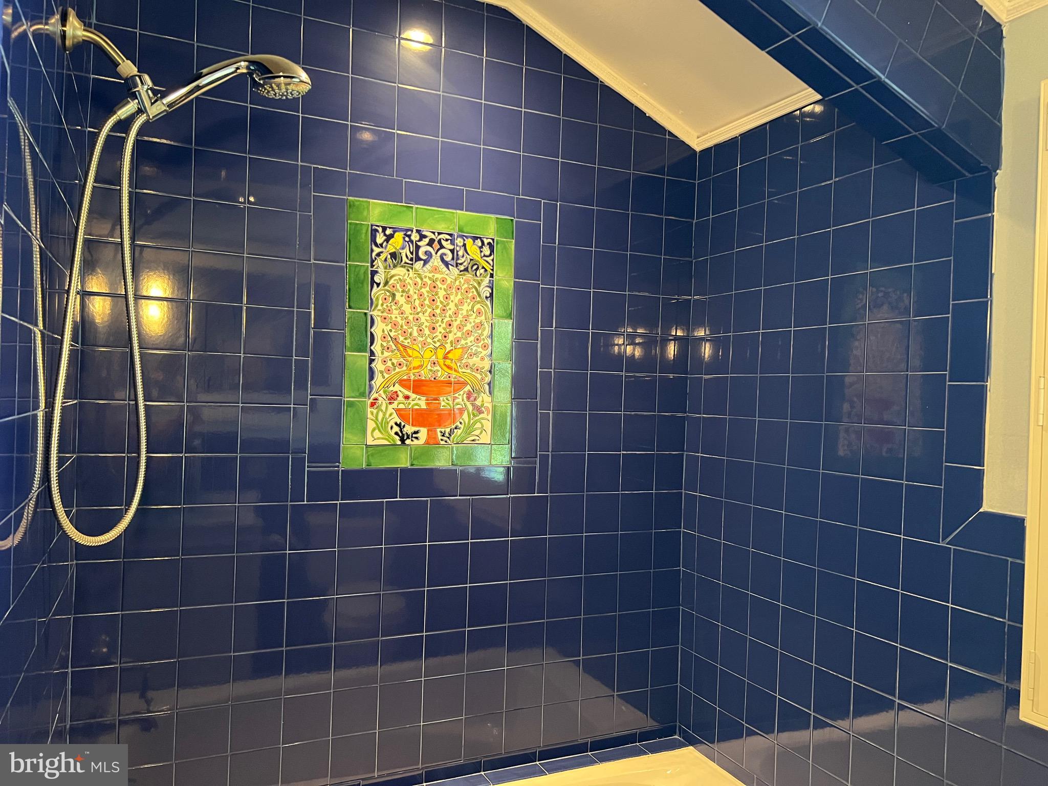 5808 Nystrom Street Hyattsville, MD 20784 - Photo 12 of 38 a bathroom with a shower