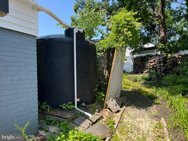 a view of backyard with a tree