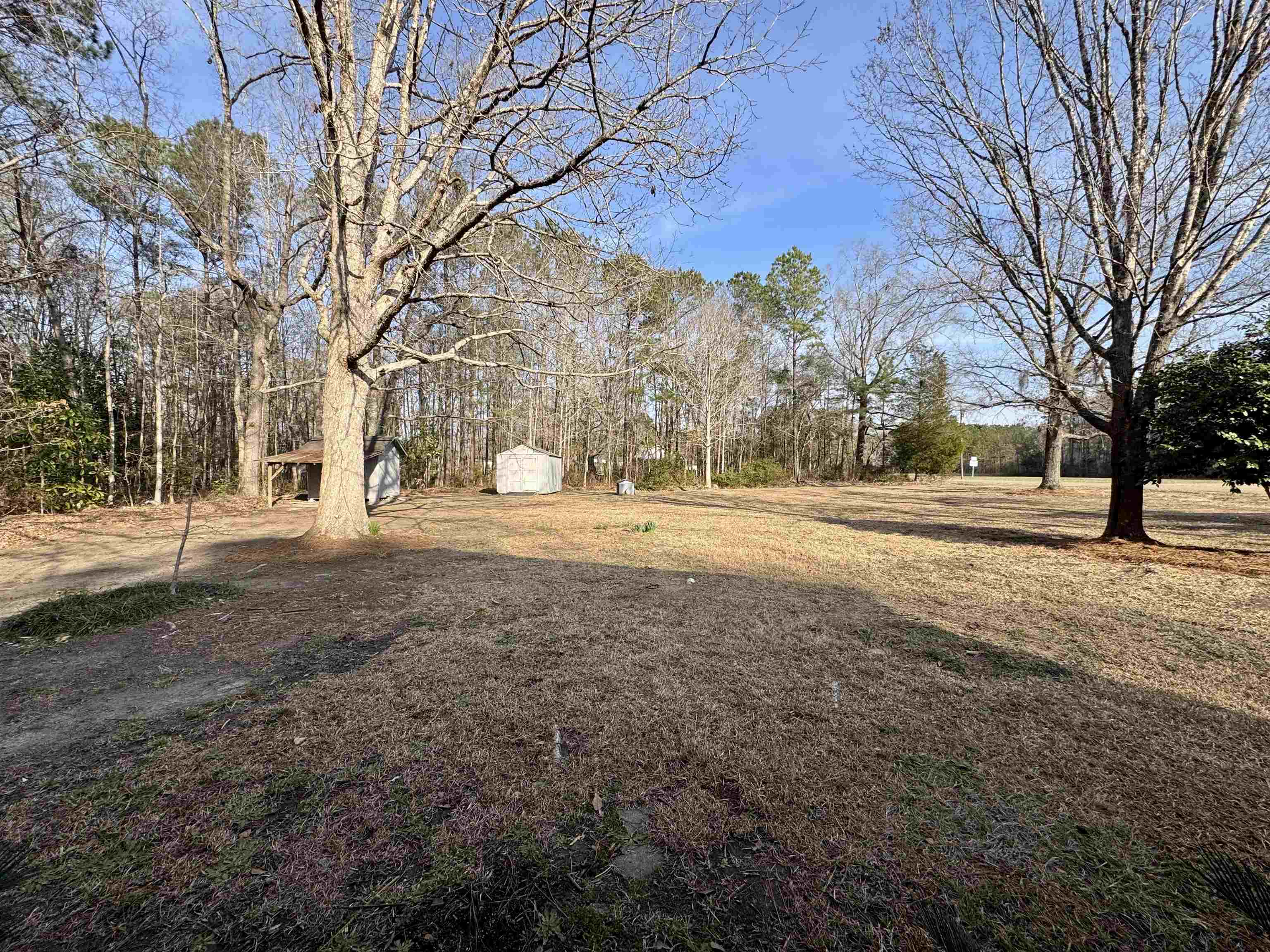 52 County Rd S-45-636 Andrews, SC 29510 - Photo 22 of 22 Gallery Image 22