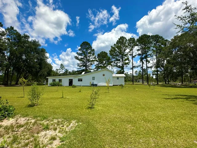 a view of a tree with a yard