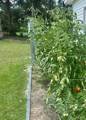 a view of a back yard